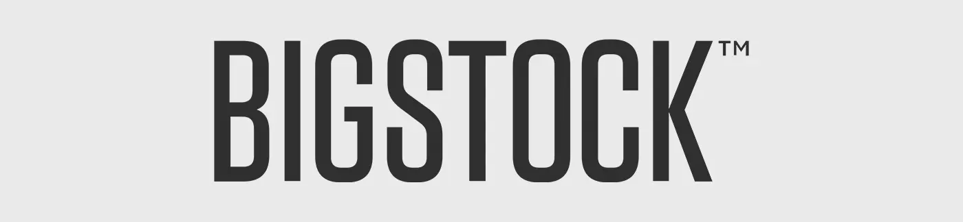 bigstock-Le migliori piattaforme di stock image-cover-italyswag